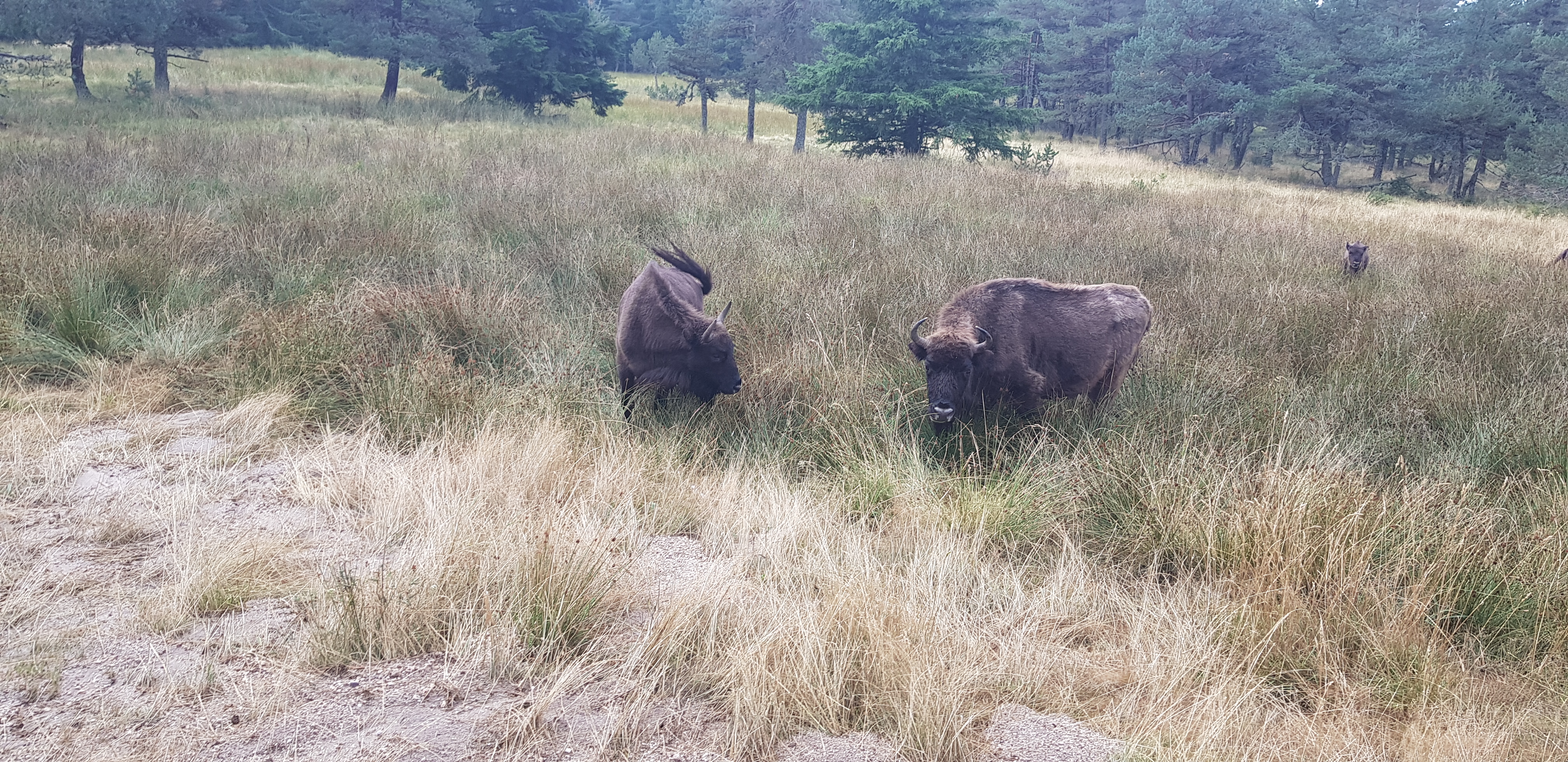 Photo n° 2 de l'avis de StA.P fait le 23/08/2022 à 08:35