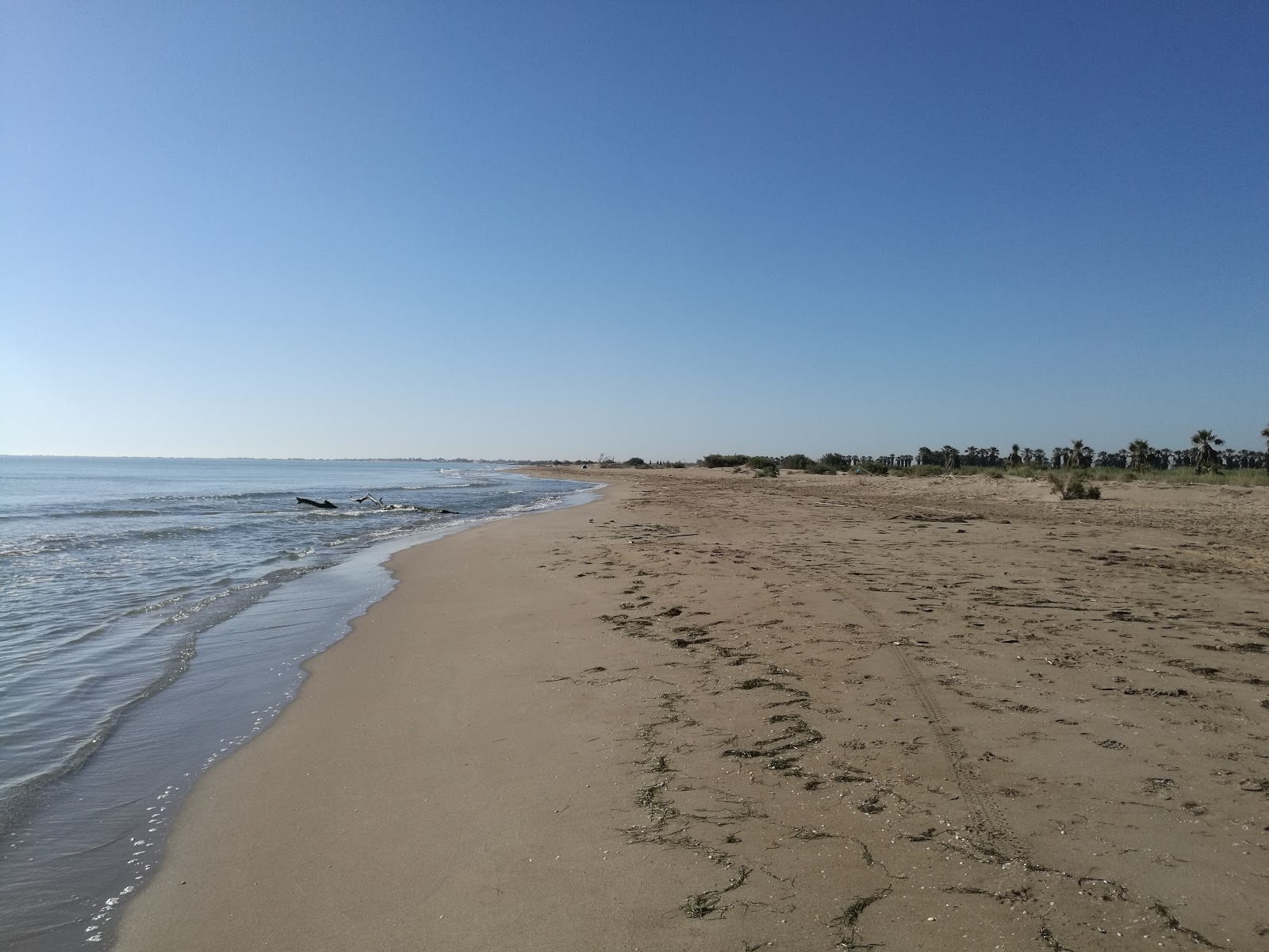 Vue pittoresque de Platja Bassa d'Arena, offrant un environnement serein avec du sable propre et des habitats fauniques à proximité.