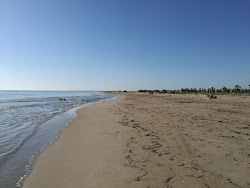 Photo de Platja Bassa d'Arena zone sauvage