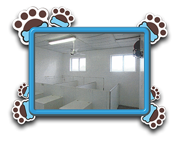 Pet Store «AA Ridgewood Kennels II», reviews and photos, 5401 Lincoln Hwy, Gap, PA 17527, USA