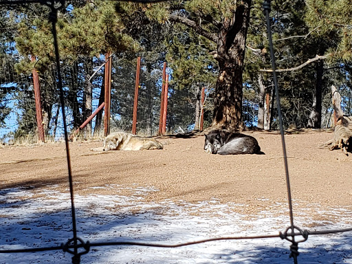 Wildlife Park «Colorado Wolf and Wildlife Center», reviews and photos, 4729 Twin Rocks Rd, Divide, CO 80814, USA