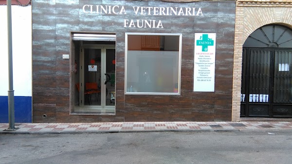 clinica veterinaria