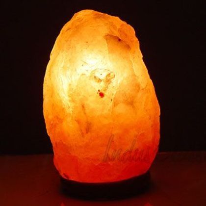 Florist «Broad Brook Gardens», reviews and photos, 938 Sullivan Ave, South Windsor, CT 06074, USA