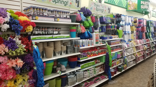 Dollar Store «Dollar Tree», reviews and photos, 340 W Army Trail Rd #120, Bloomingdale, IL 60108, USA
