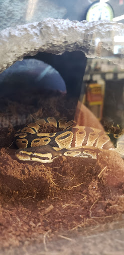 Pet Supply Store «Petco Animal Supplies», reviews and photos, 1320 Lincoln Way E #20, Chambersburg, PA 17202, USA