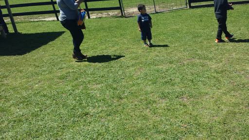 Wedding Venue «Rancho Alegre Farm», reviews and photos, 2225 Givens Rd, Dacula, GA 30019, USA