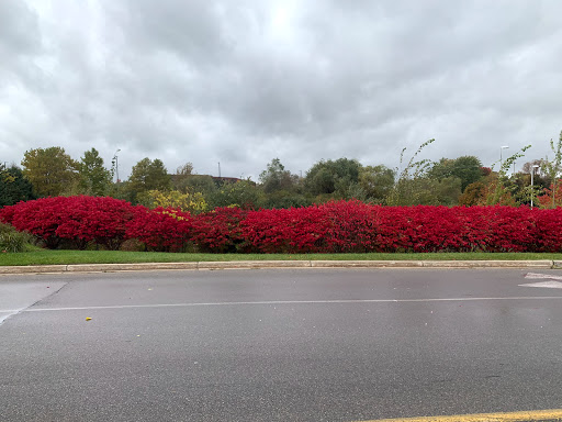 Grocery Store «Meijer», reviews and photos, 3955 US-31, Traverse City, MI 49684, USA