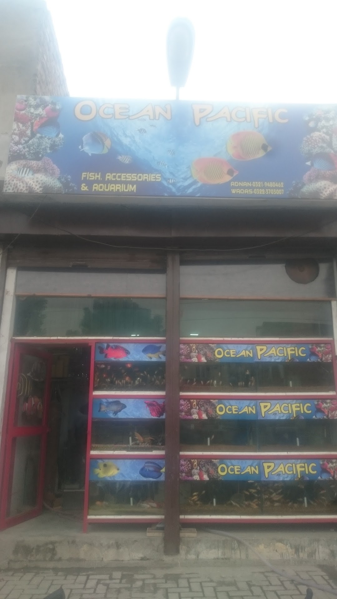 Ocean Pacific Fish Aquarium Shop