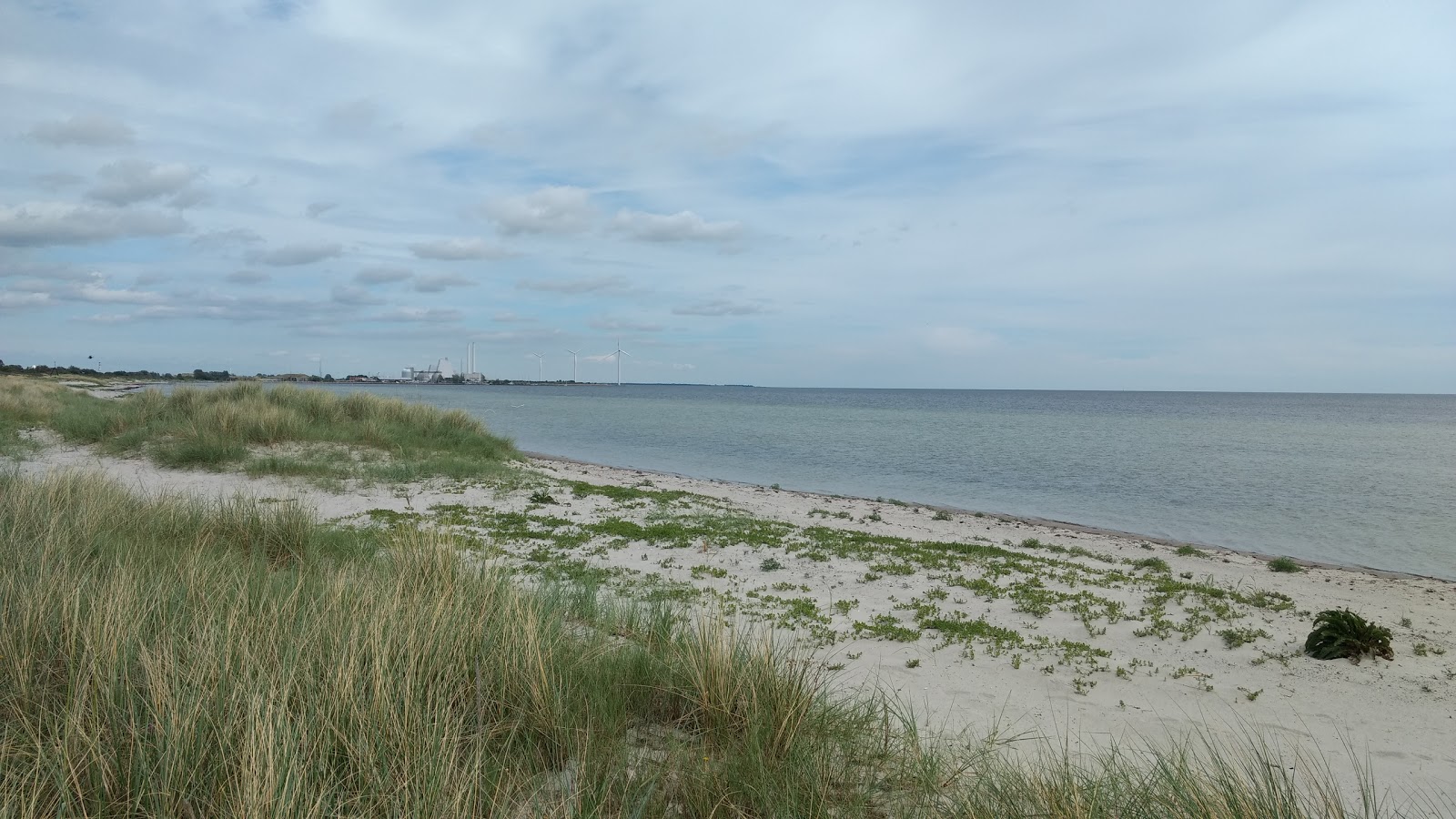 Brondby Beach photo #8