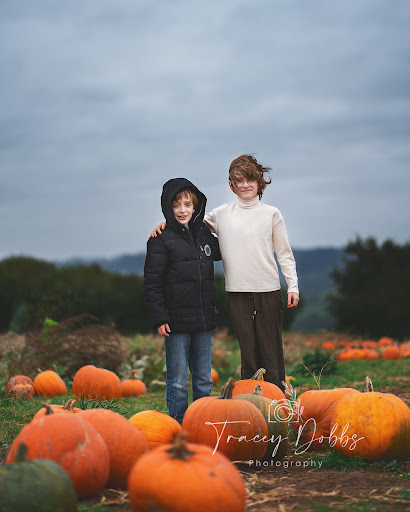 Clearwell Farm Pumpkin Patch