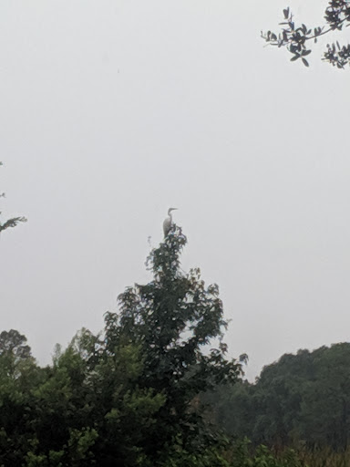 Park «Lake Park», reviews and photos, 17302 N Dale Mabry Hwy, Lutz, FL 33548, USA