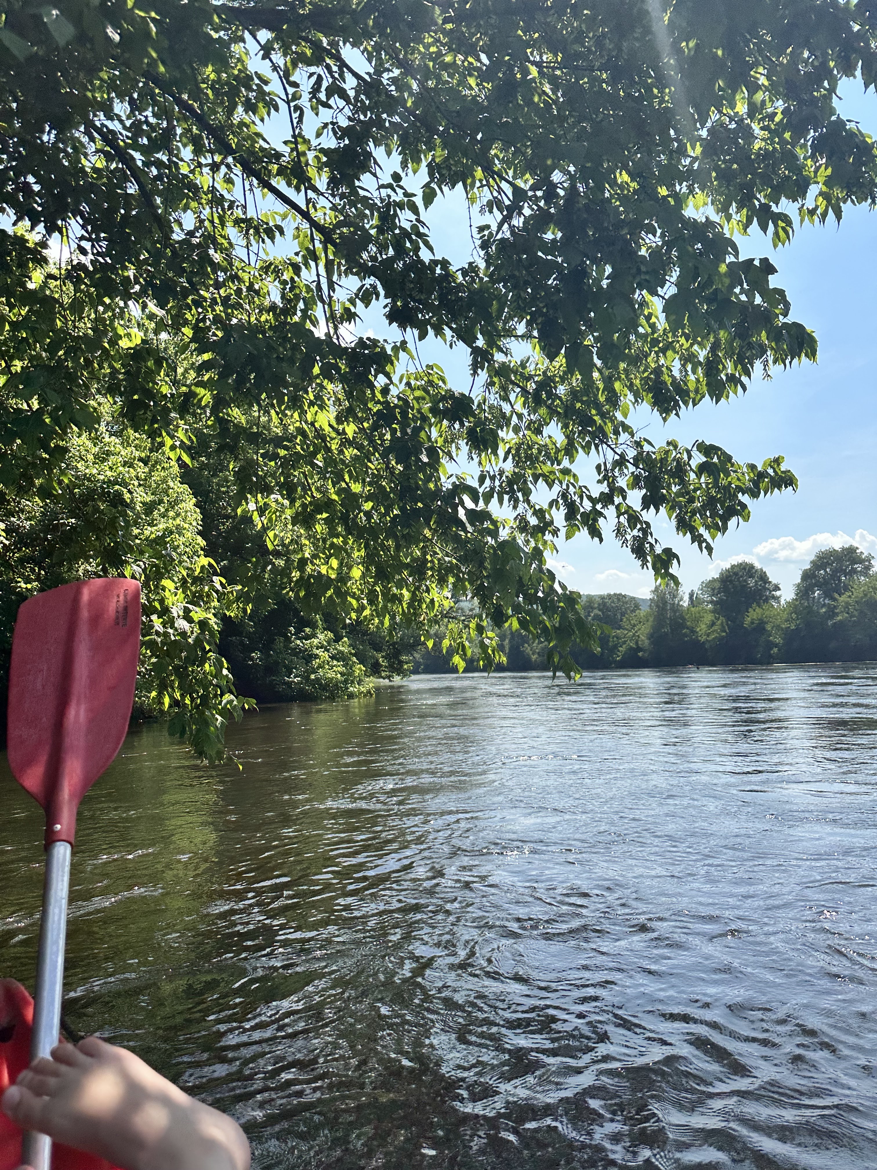 Photo n° 2 de l'avis de Anaïs.a fait le 17/06/2023 à 17:27