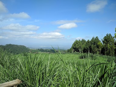 Warung Bu Usrek