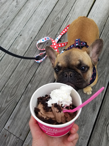 Frozen Yogurt Shop «sweetFrog Premium Frozen Yogurt», reviews and photos, 10040 Sliding Hill Rd, Ashland, VA 23005, USA