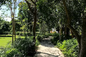 Parque Los Jazmines image