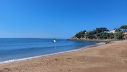 Plage de la Courance'in fotoğrafı çok temiz temizlik seviyesi ile