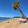 Rattlesnake Island