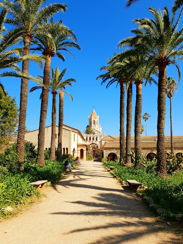 attractions Promenades en mer Sea You Sun Saint-Raphaël