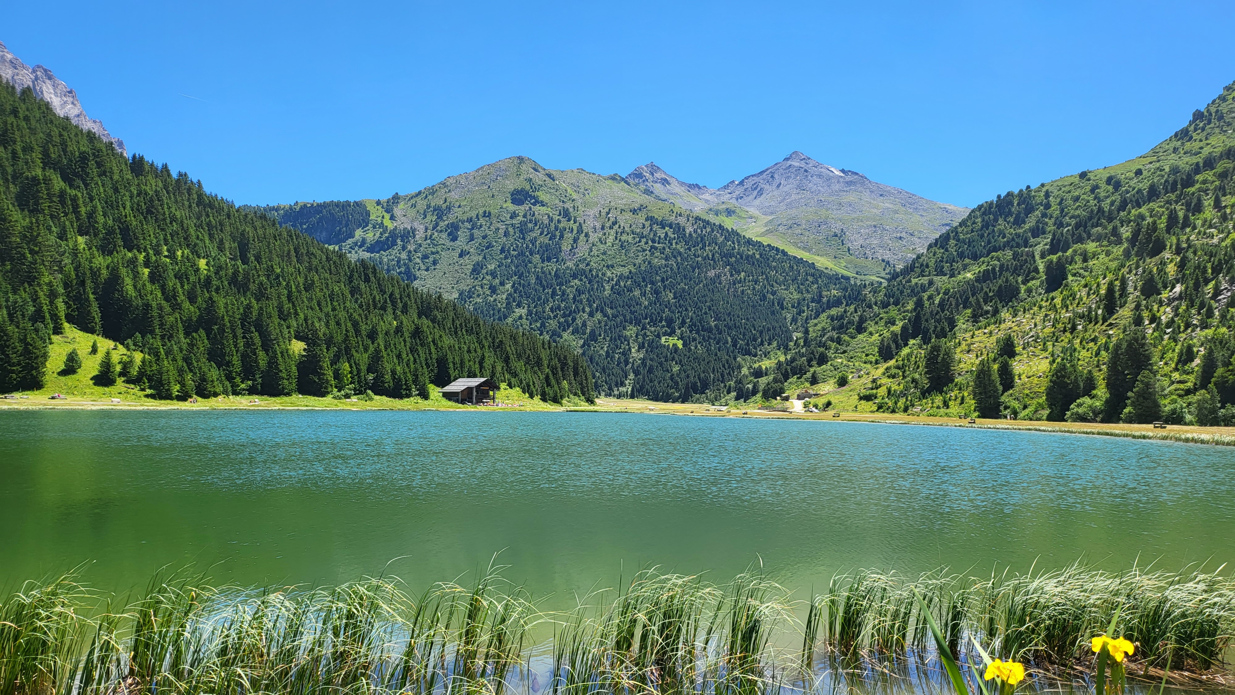 Photo n° 2 de l'avis de Franck. fait le 16/07/2022 à 16:01