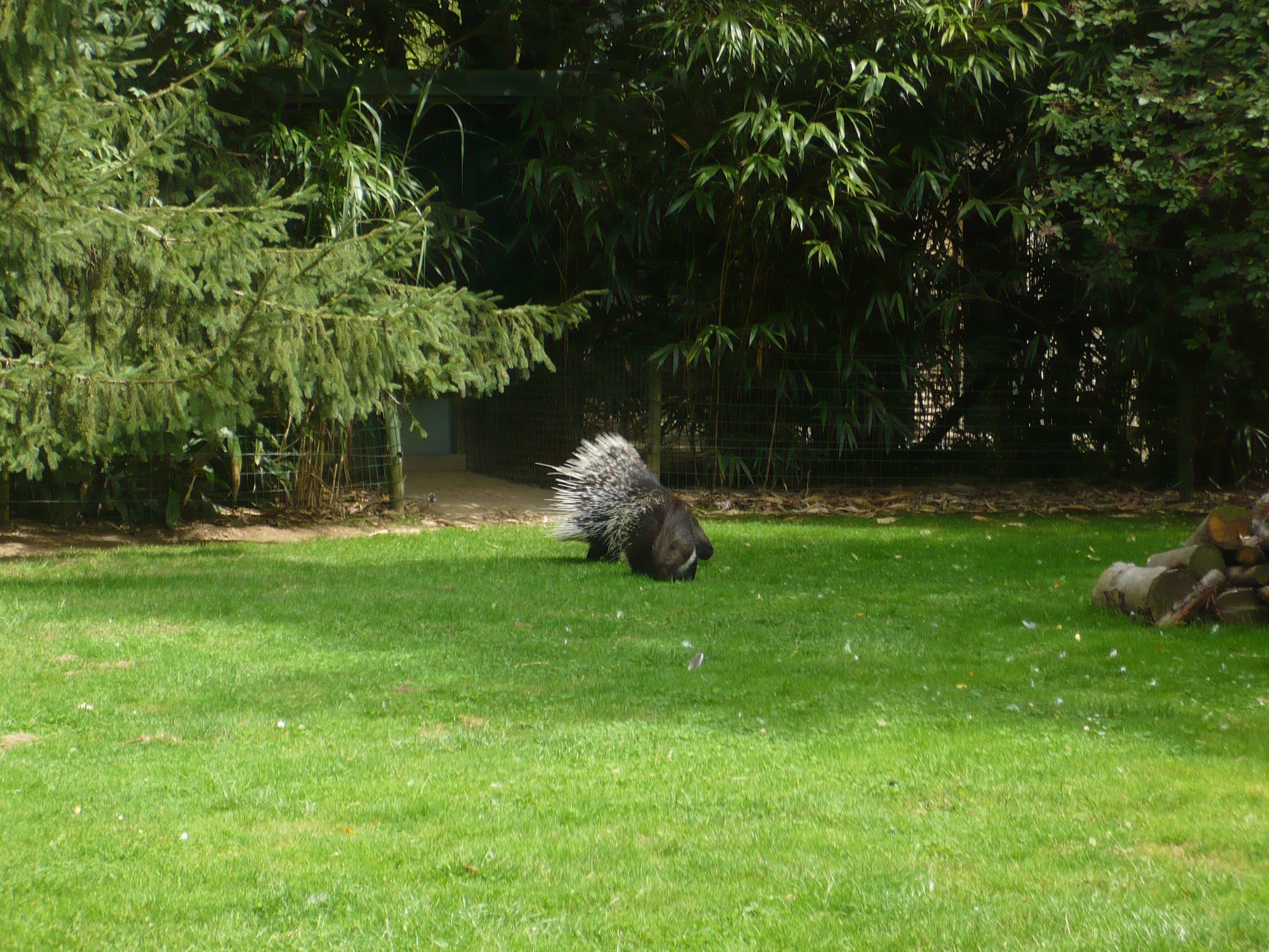 Photo n° 18 de l'avis de Arthur.i fait le 10/07/2021 à 10:56