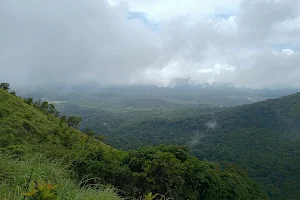 Brahmagiri Wildlife Sanctuary image