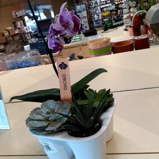 Grocery Store «Giant Food Stores», reviews and photos, 300 E Baltimore Ave, Lansdowne, PA 19050, USA