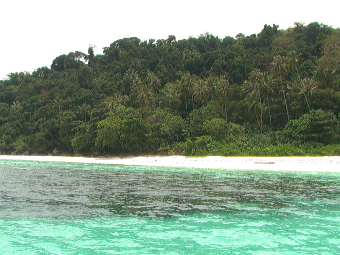 Fotografija Pulau Tulai Beach z visok stopnjo čistoče