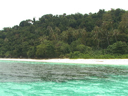 Photo de Pulau Tulai Beach zone sauvage