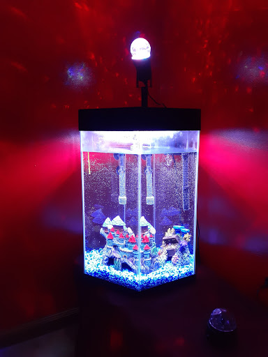 Pet Supply Store «PetSmart», reviews and photos, 157 Levittown Pkwy B, Levittown, PA 19055, USA