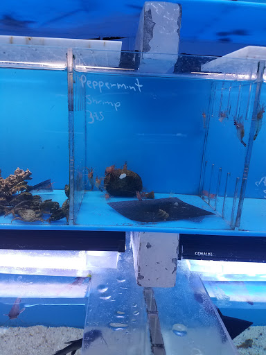 Aquarium «Aquarama Inc», reviews and photos, 2151 NW 27th Ave, Miami, FL 33142, USA