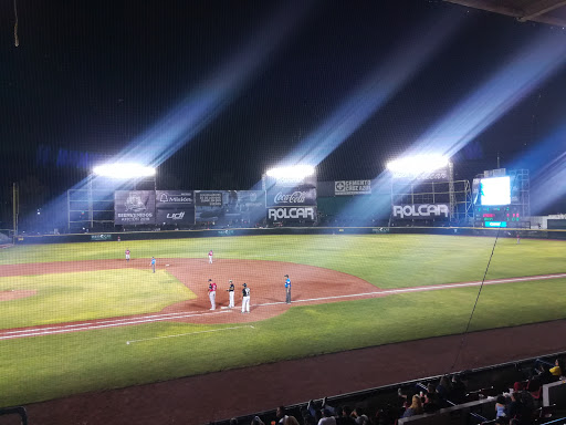 Club de beisbol, Rieleros de Aguascalientes