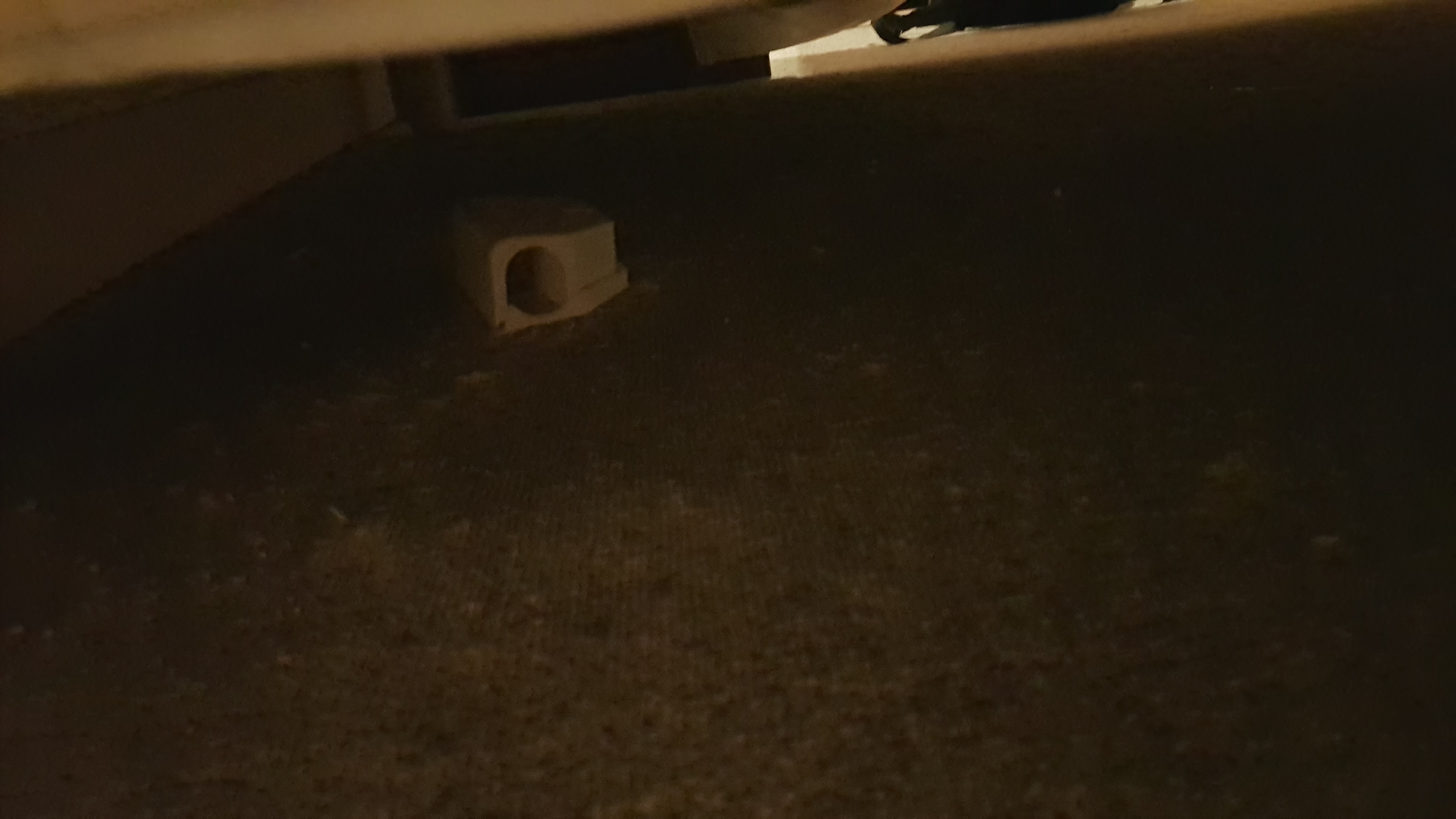 Photo n° 12 de l'avis de Marine. fait le 05/10/2019 à 11:37