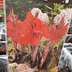 Photo n°4 de l'avis de Thomas.. fait le 14/04/2019 à 15:10 sur le  Schloss Kartzow à Potsdam