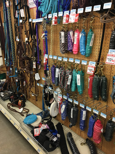 Home Improvement Store «Tractor Supply Co.», reviews and photos, 711 Washington Ave #1b, Chestertown, MD 21620, USA