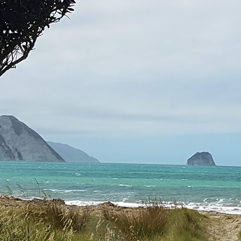 Tolaga Bay Wharf