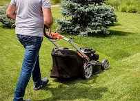 Duncan Trees and Landscaping - Photo 8 - Car repair in , Springfield