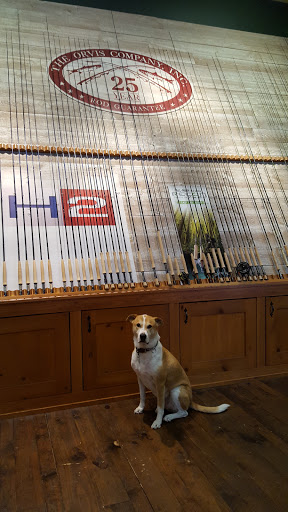 Clothing Store «Orvis», reviews and photos, 345 S Lake Ave, Pasadena, CA 91101, USA