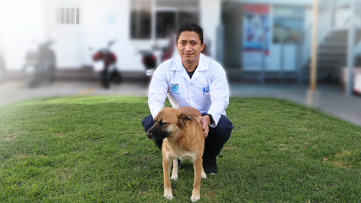 Cursos veterinaria Quito