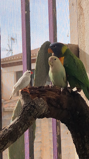 Agropecuario Olivarillo en Padul, Granada