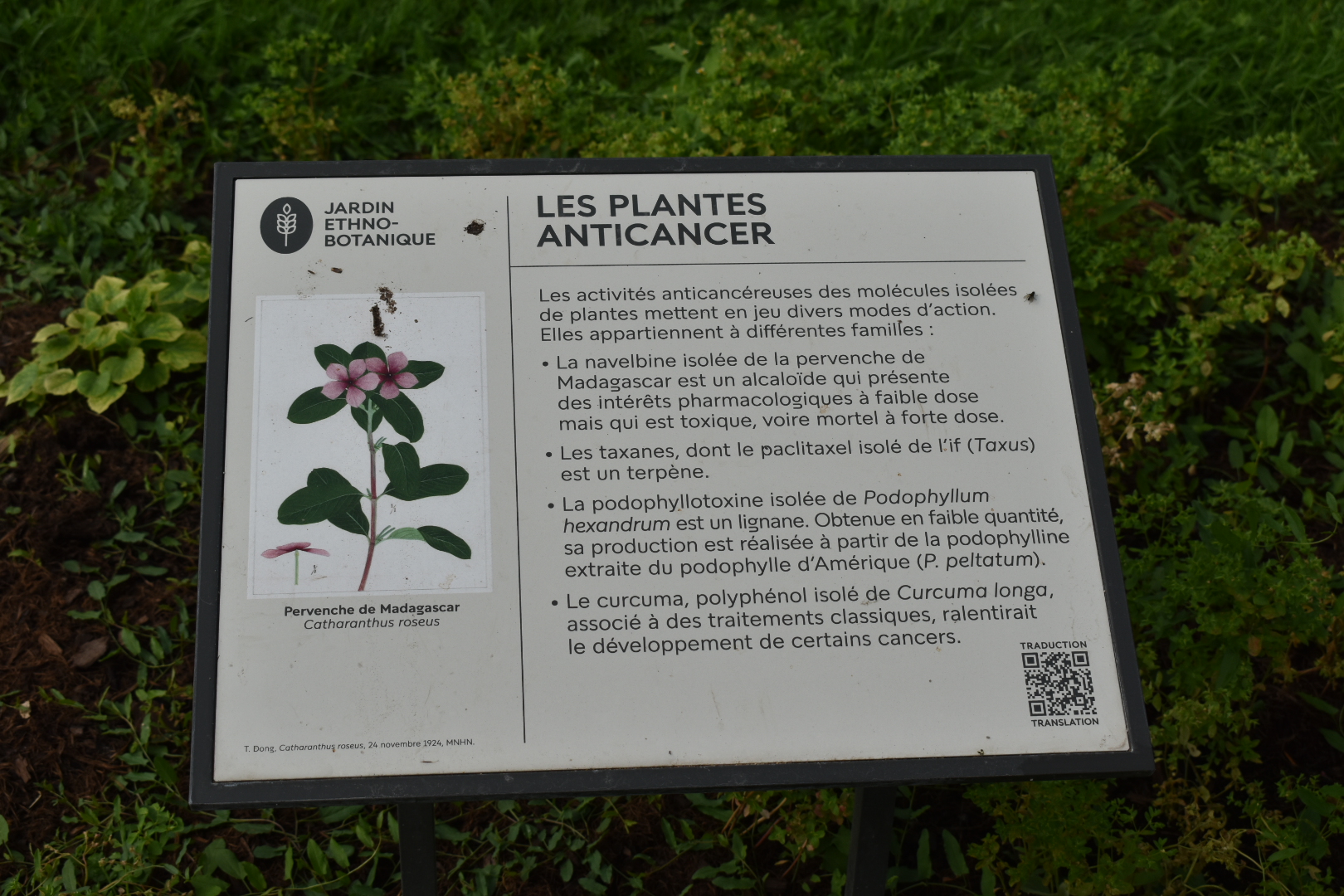 Photo n° 22 de l'avis de ATMANI.i fait le 17/10/2023 à 20:13