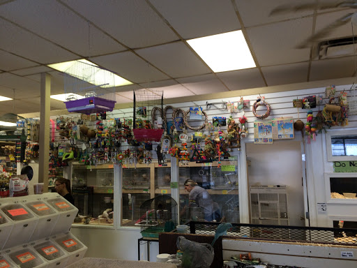 Pet Store «Fosters Exotic Pet Center», reviews and photos, 40116 US Hwy 19 N, Tarpon Springs, FL 34689, USA