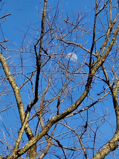 Park «Walker Mill Regional Park», reviews and photos, 8840 Walker Mill Rd, District Heights, MD 20747, USA