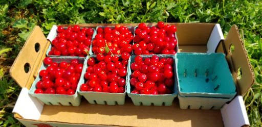 Produce Market «Berry Patch Farms», reviews and photos, 13785 Potomac St, Brighton, CO 80601, USA