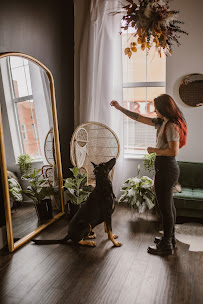 Ruff Runs - Photo 6 - Car repair in , Clarksville