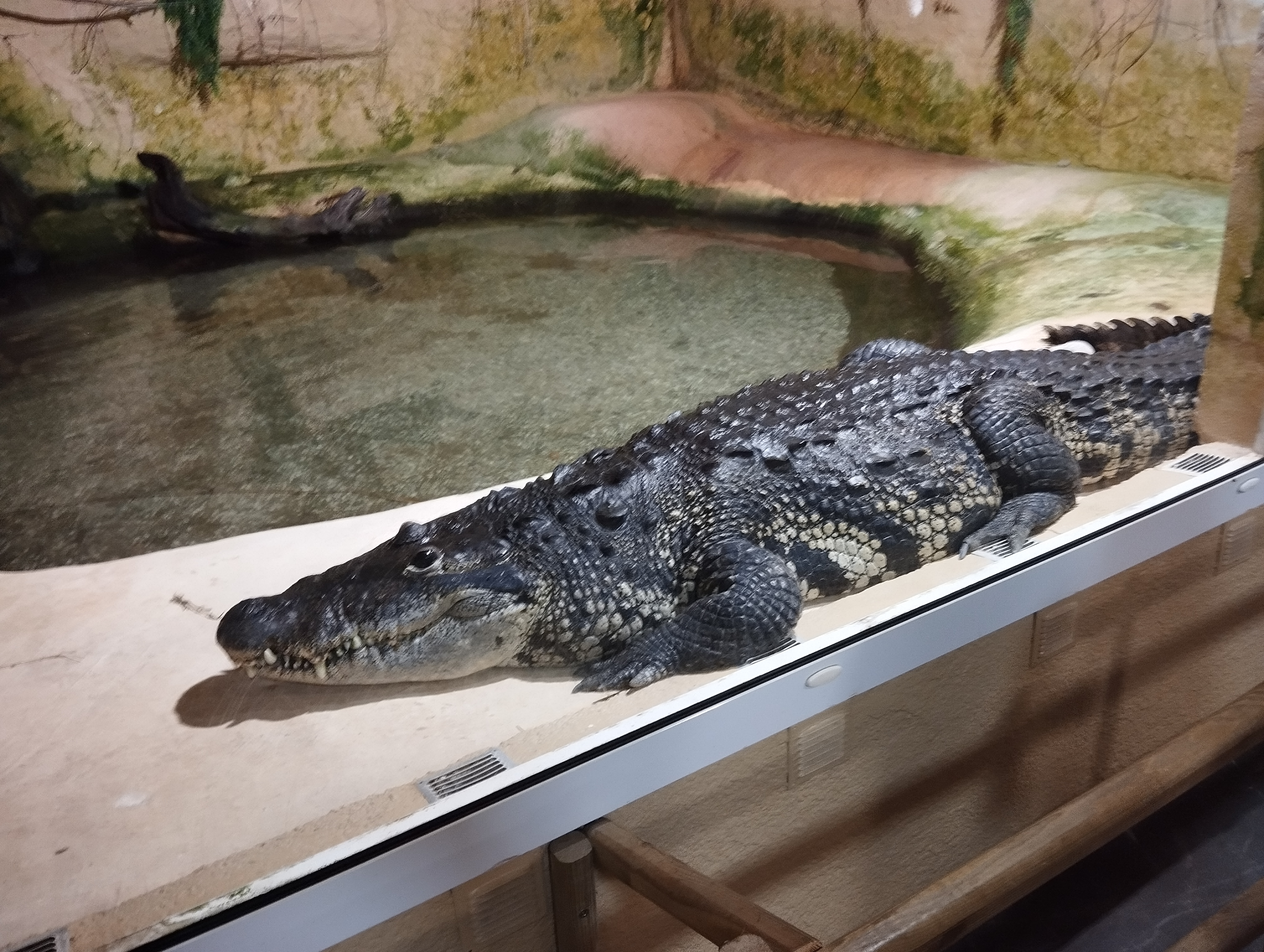 Photo n° 6 de l'avis de Seb.e fait le 17/07/2023 à 19:09