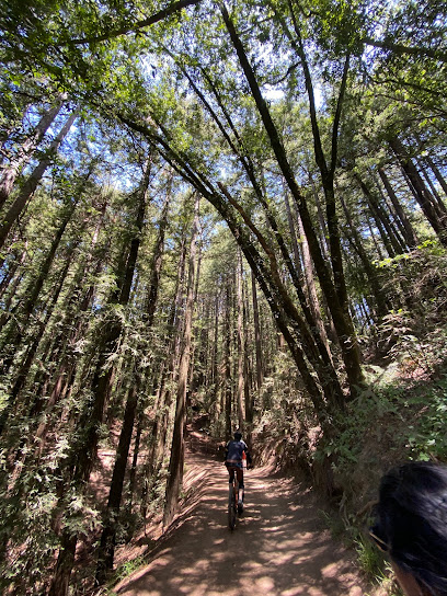 Redwood Peak