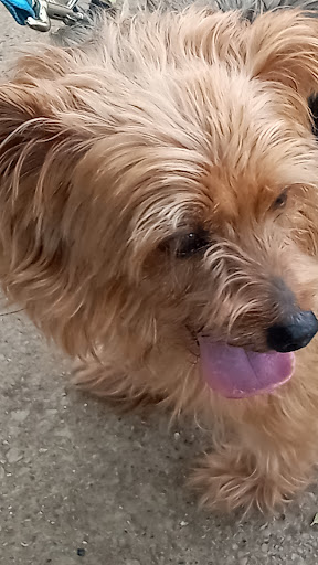 Park «Katherine Rose Memorial Park», reviews and photos, 303 N Walnut Creek Dr, Mansfield, TX 76063, USA