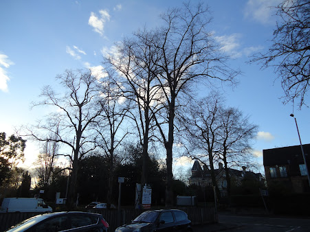 عيادة الأورام-مانشستر - Oncology clinic-Manchester