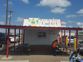 CoolCat Too Sno-Cone