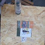 Photo n°5 de l'avis de Piera.i fait le 05/08/2021 à 18:48 sur le  Ristorante Risatini à Modena